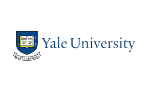 Digital marketing agency client