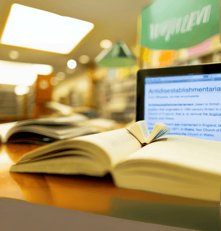 Yellow-Bulb-Publication