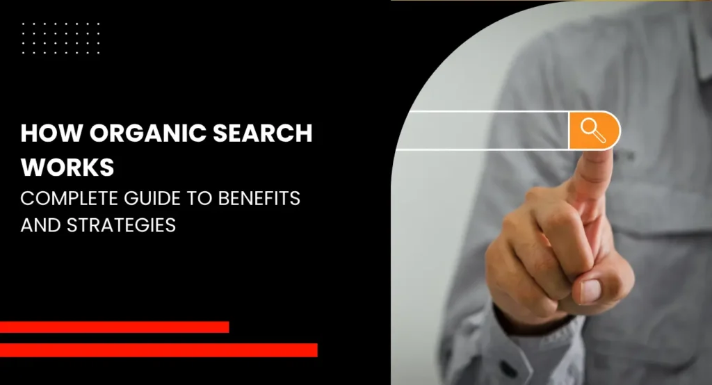What Is Organic Search and how its works